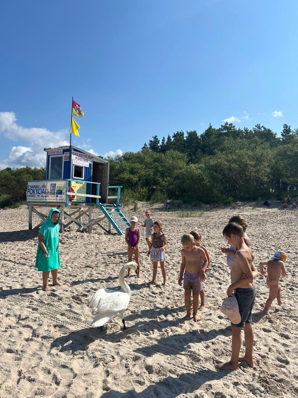 Pajūrio tyrinėtojai 8 - Išeik į lauką! dienos stovykla Kunigiškiuose 1